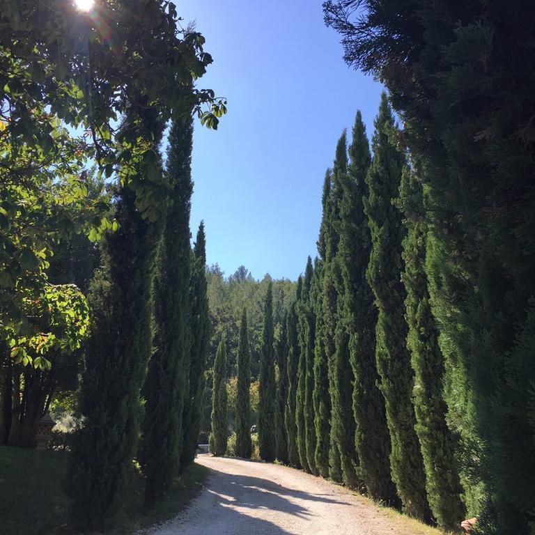 Agriturismo Monastero Di San Biagio Nocera Umbra Exterior photo
